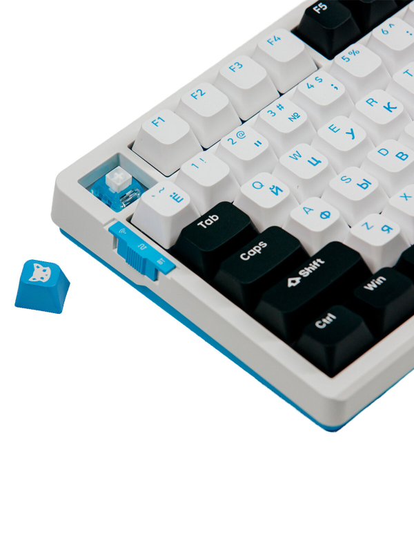 Купить VGN V98Pro V2, Arctic Fox-12.jpg